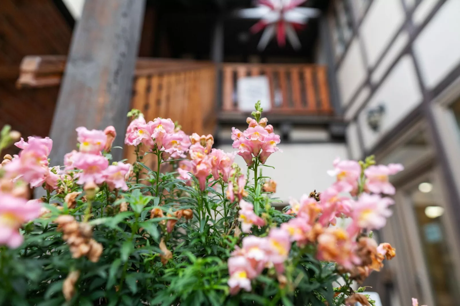In der Altstadt-Atmosphere