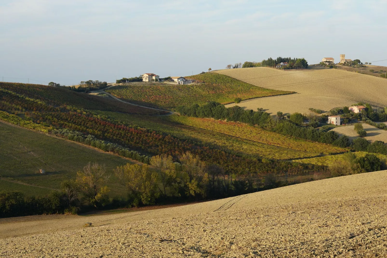 Vino-Zones d'été à 1 km