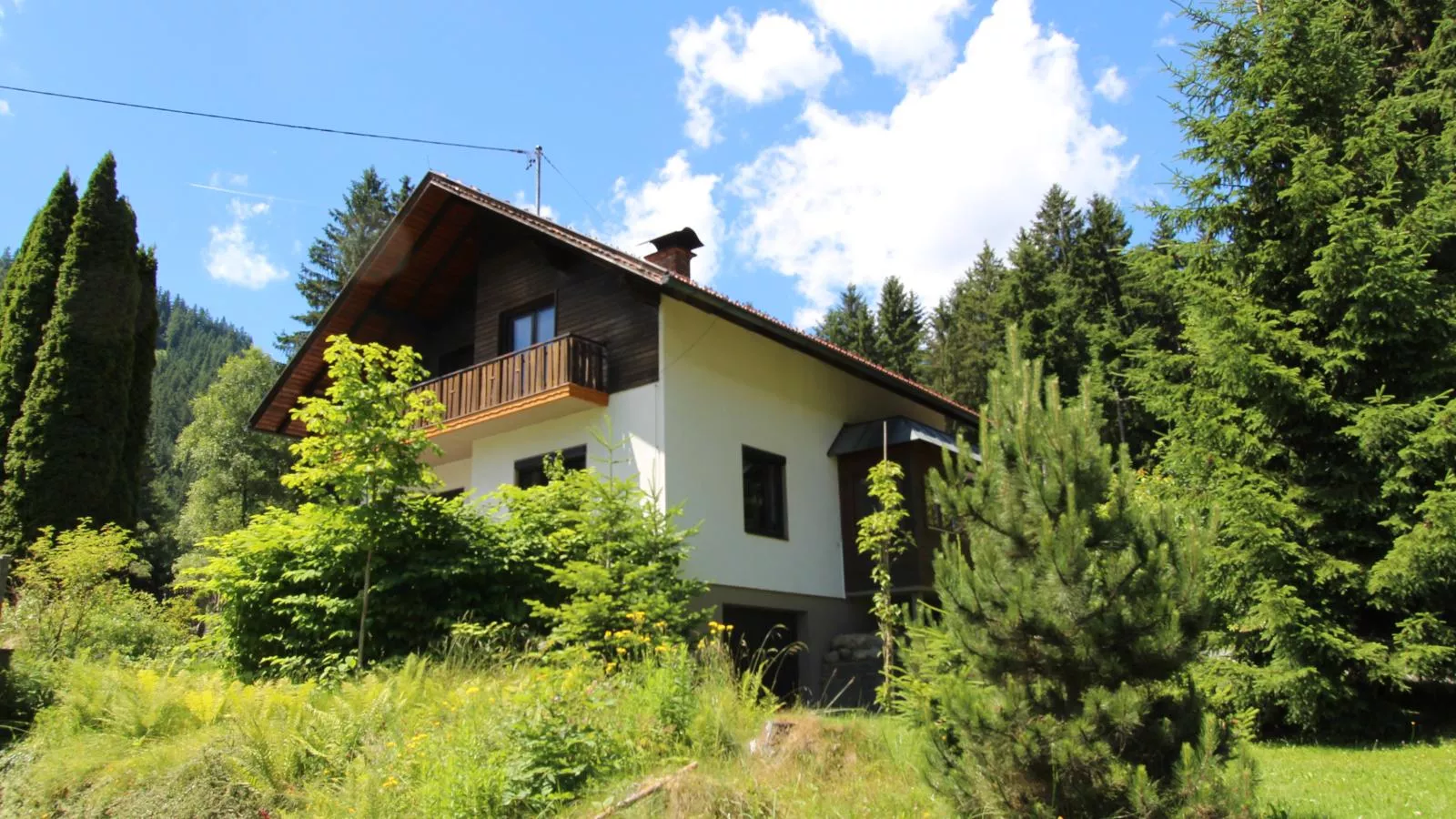 Haus zum Hirschen-Exterior summer
