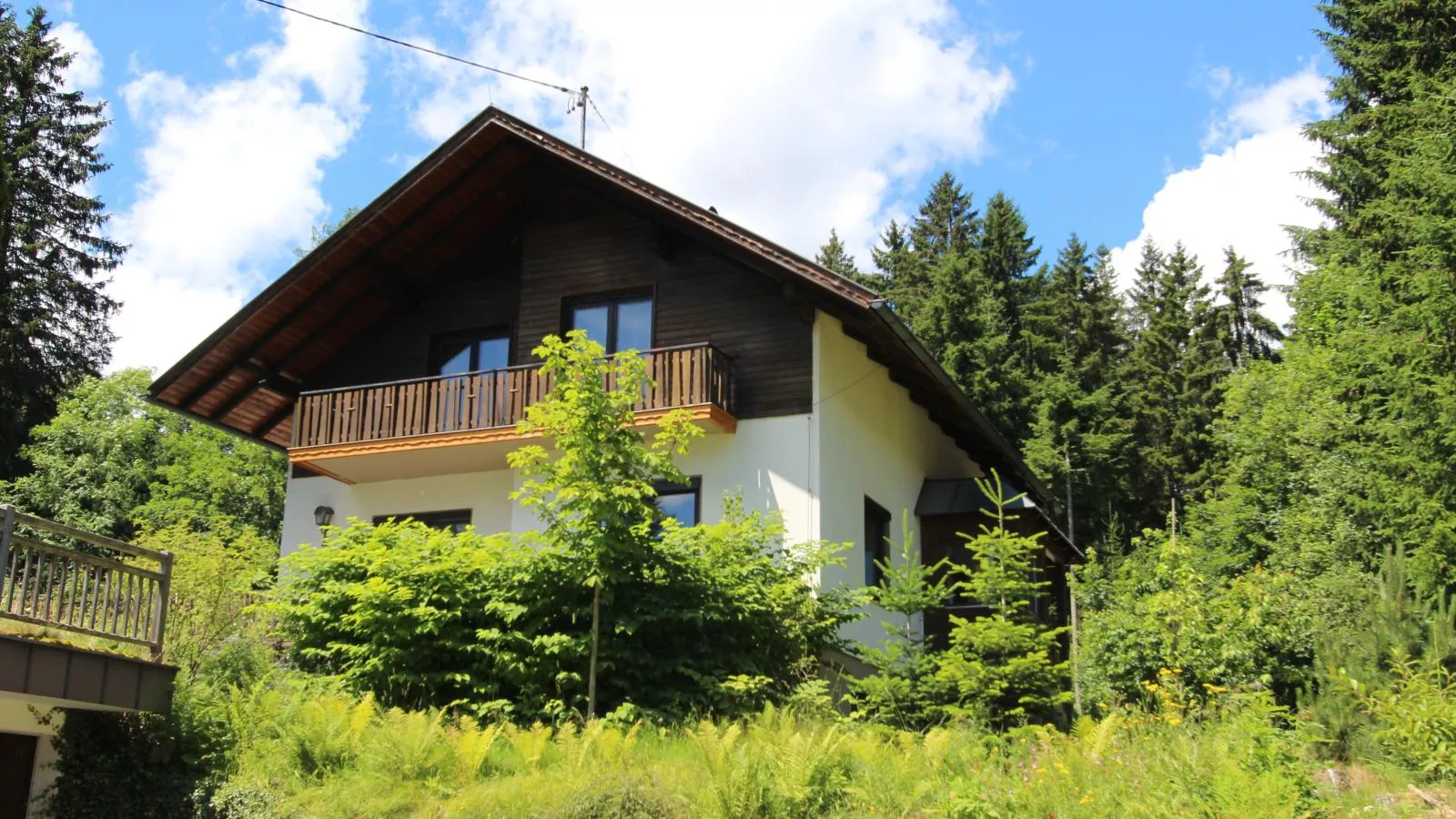 Haus zum Hirschen-Exterior summer
