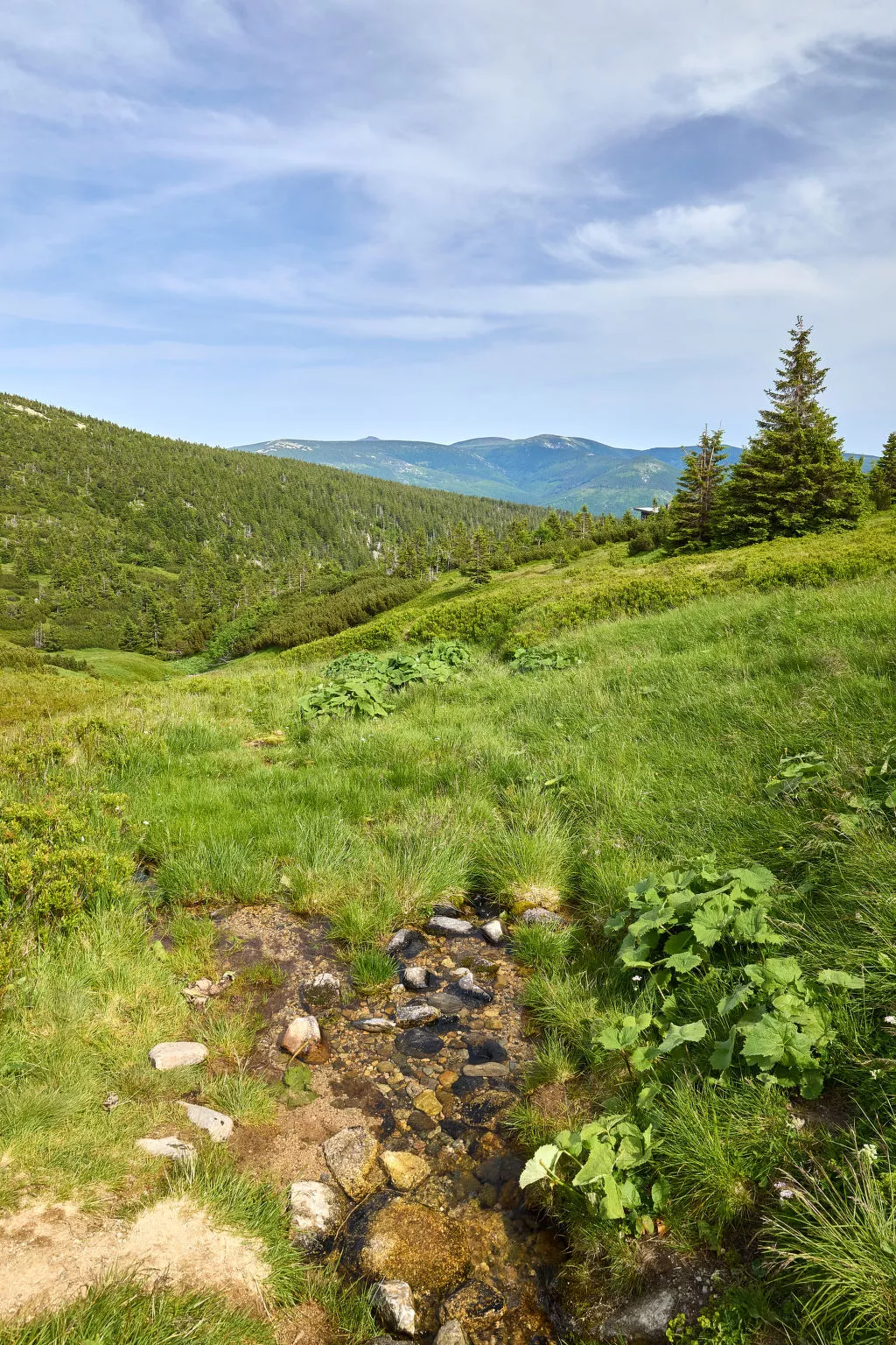 Horní Mísečky-Area