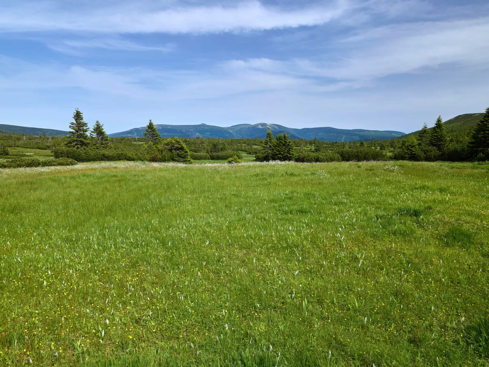 Horní Mísečky-Area
