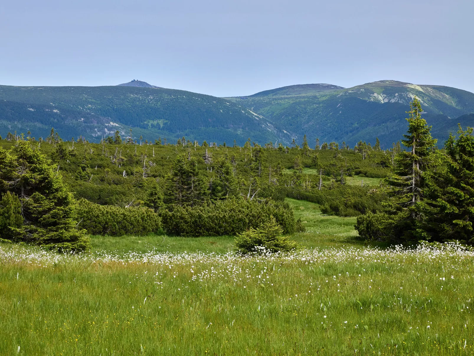 Horní Mísečky-Area