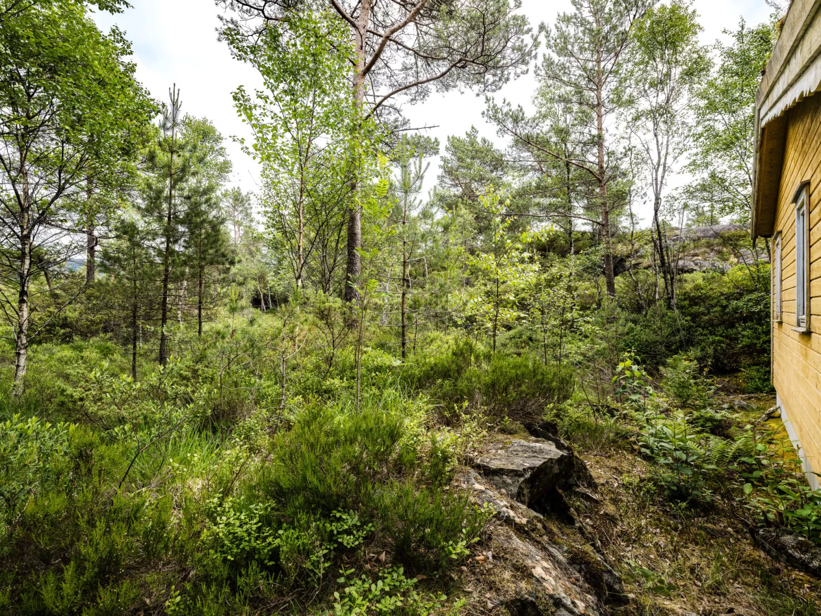 Solbakken-Outside
