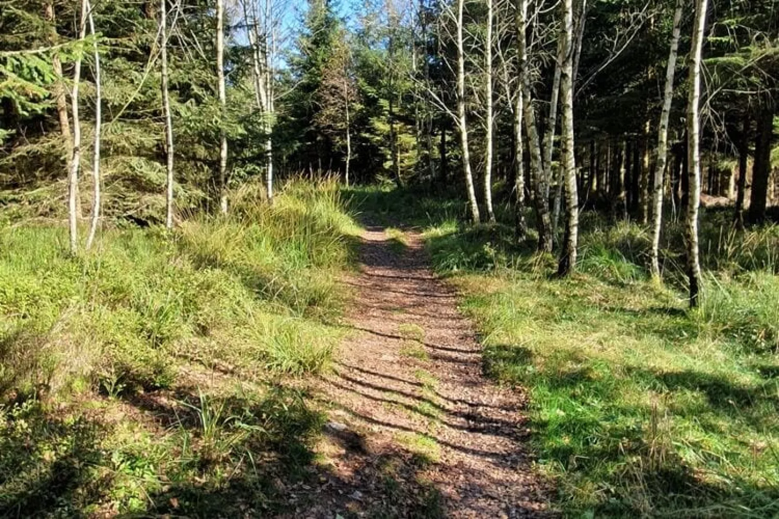 Apollinaire-Areas summer 1km