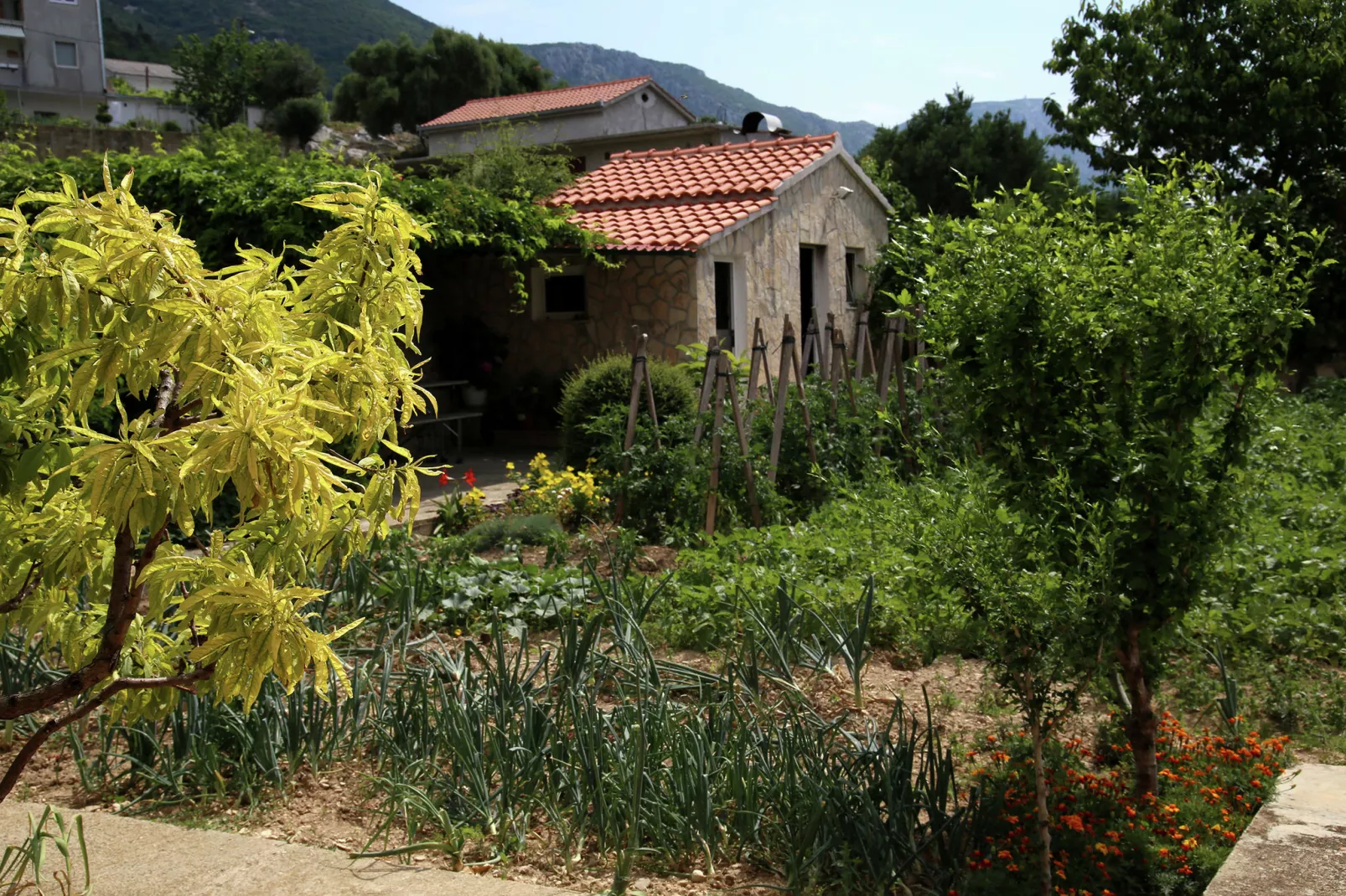 Comfy lux apartment-Gardens summer