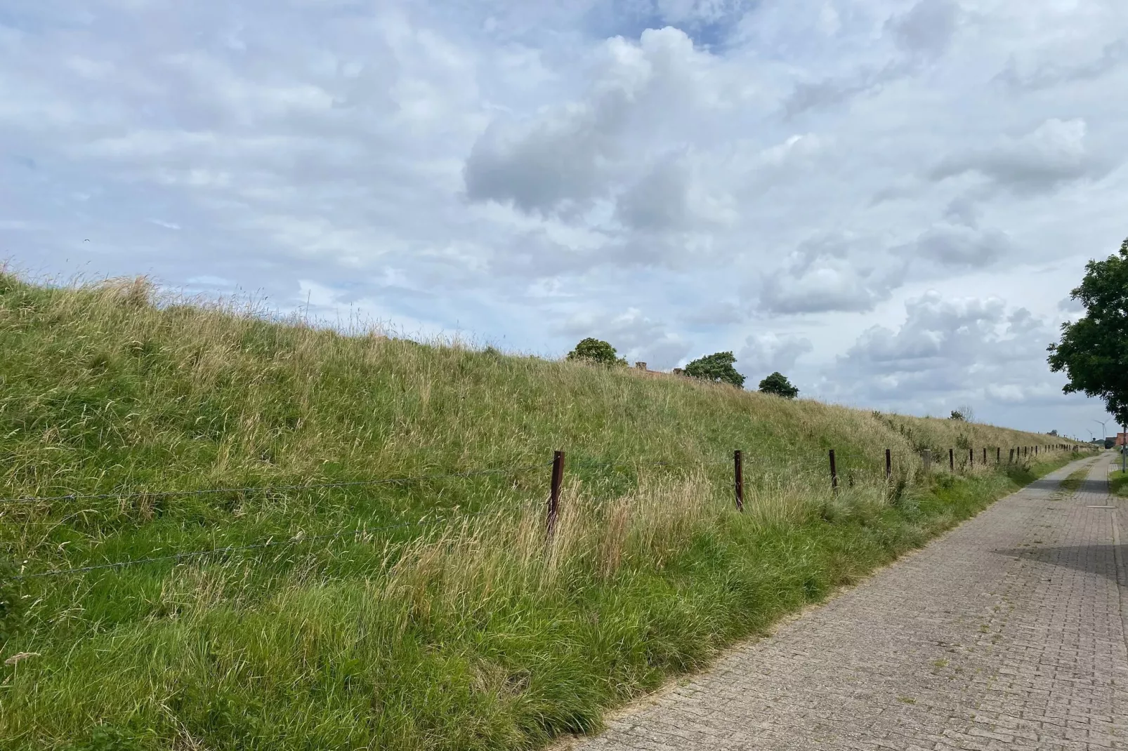 Fewo Wattkieker - Wattseite-Gebiete Sommer 1 km