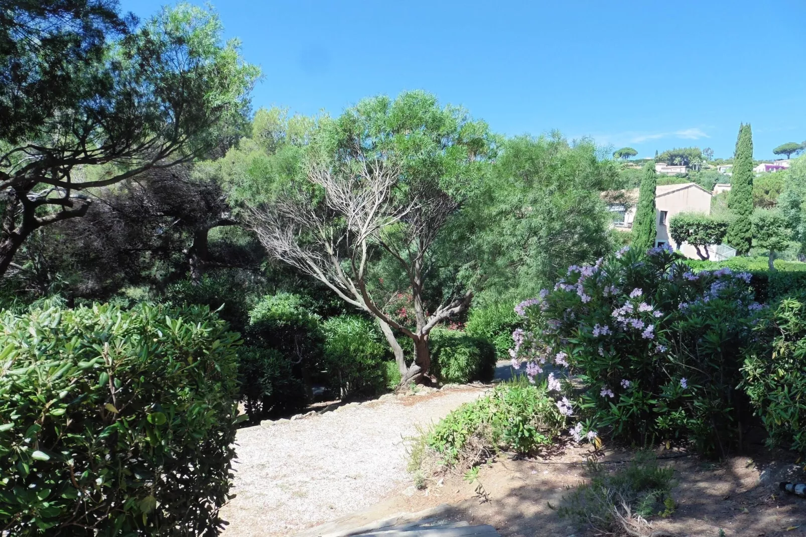 Studio in Sainte-Maxime-Outdoor