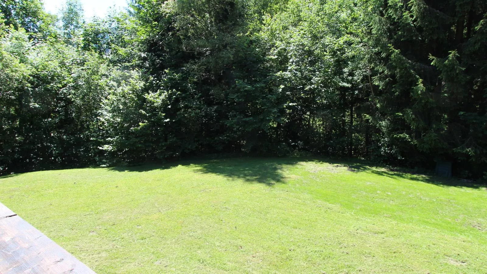 gardensummer