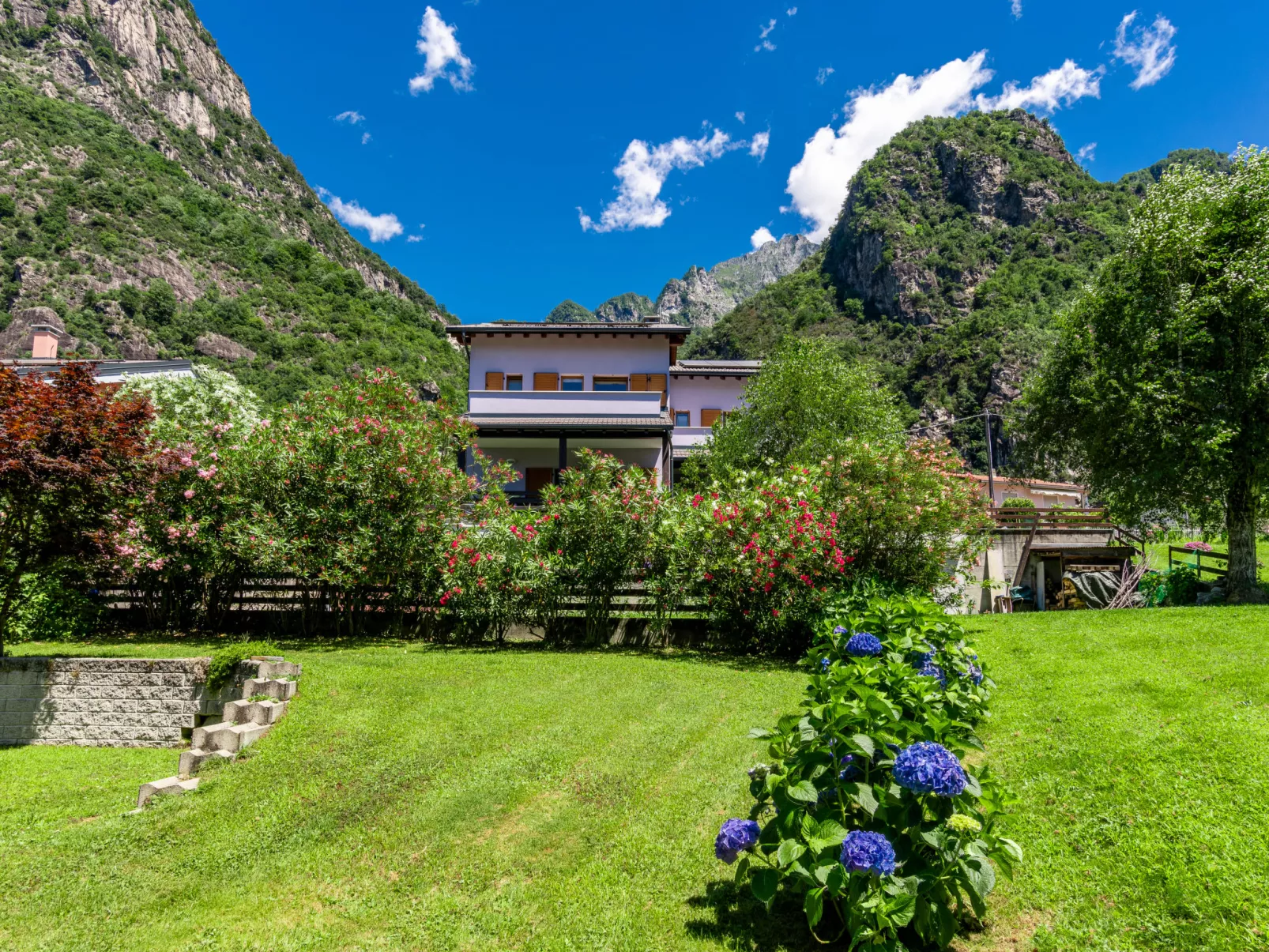 Angelina House-Dehors