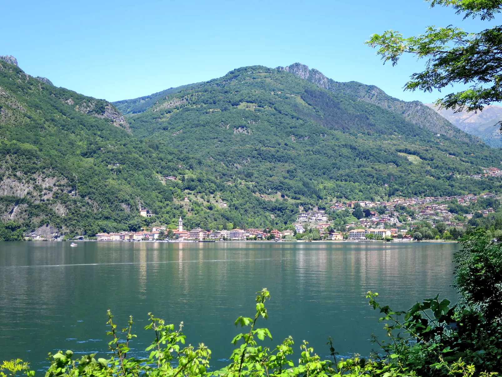 Caria 1-Area