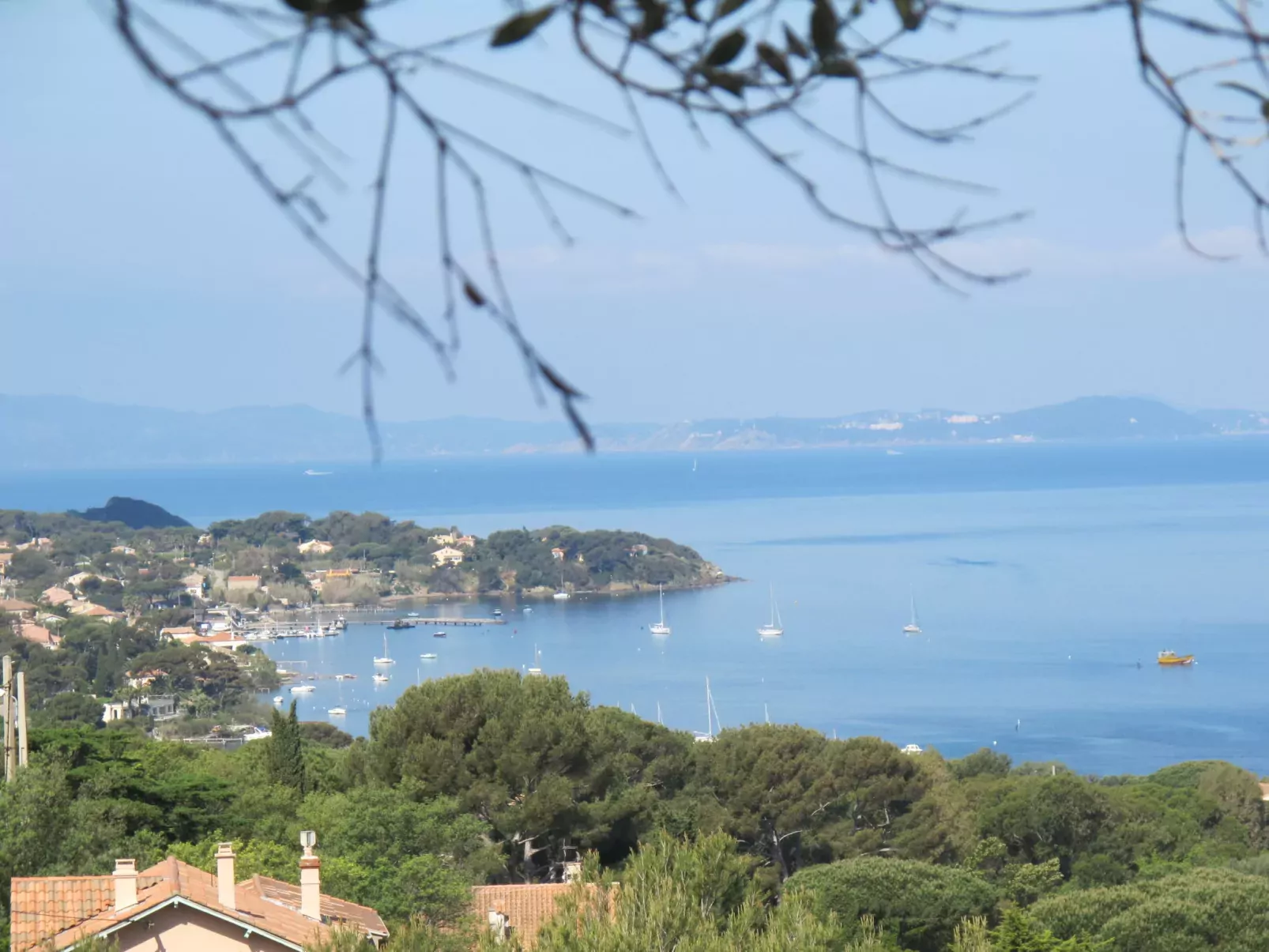 Le Dauphin-Area