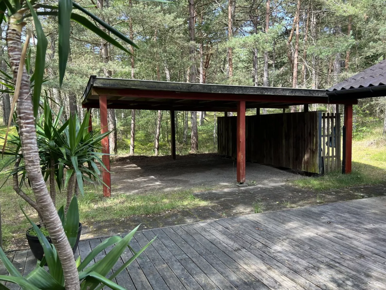 "Clementine" - 1.2km from the sea-Outside