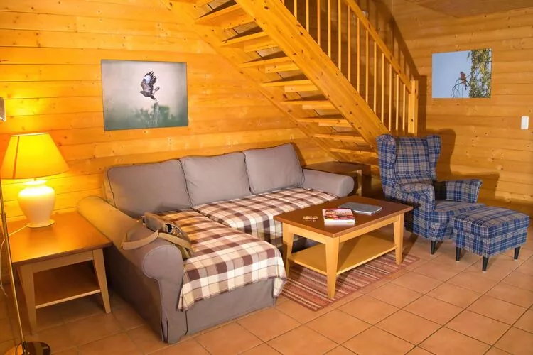 Ferienhaus in Hasselfelde - Haus 502 Auerhahn-Living room