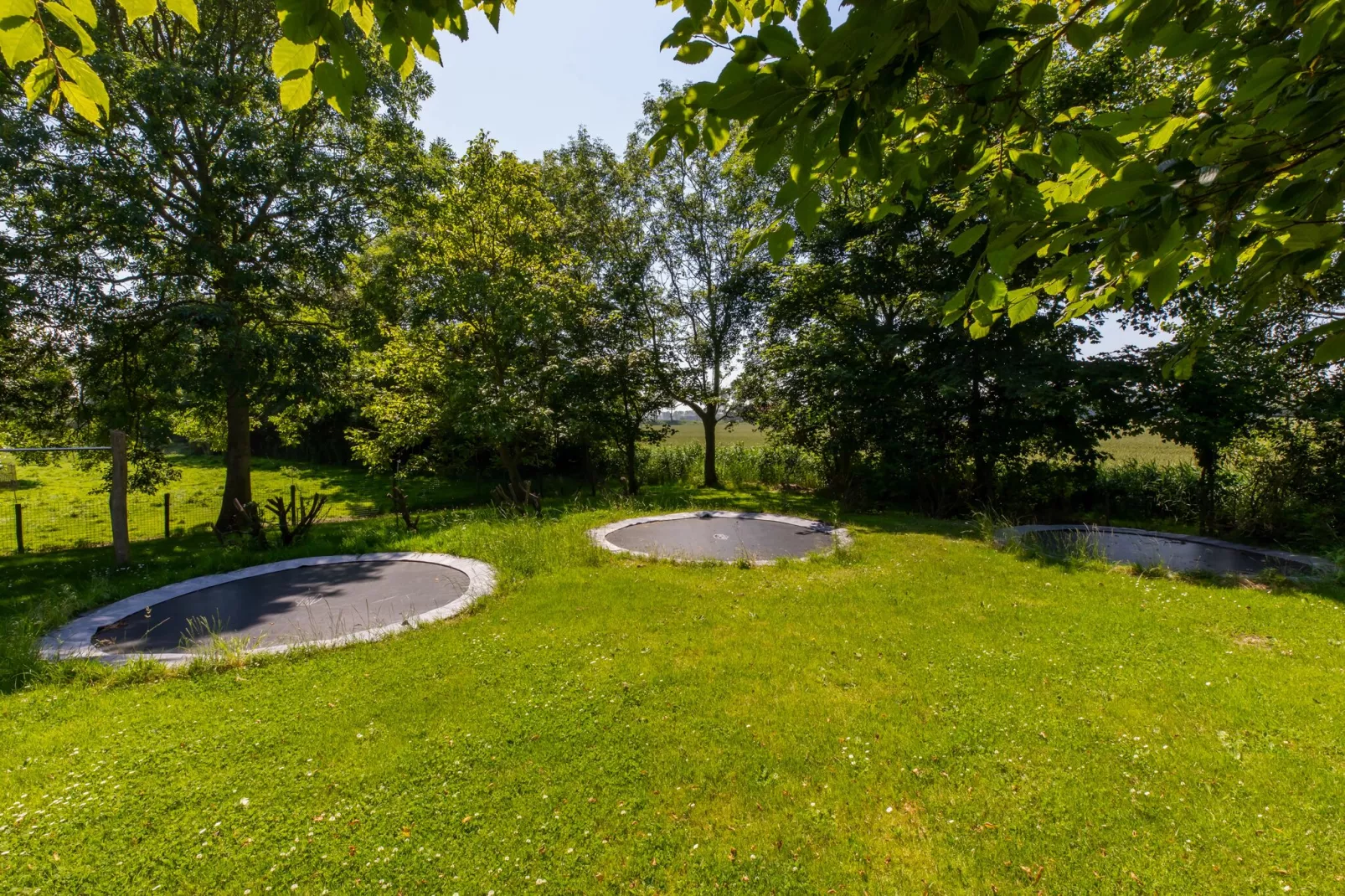 Studio - Kon Emmaweg 6-Gardens summer