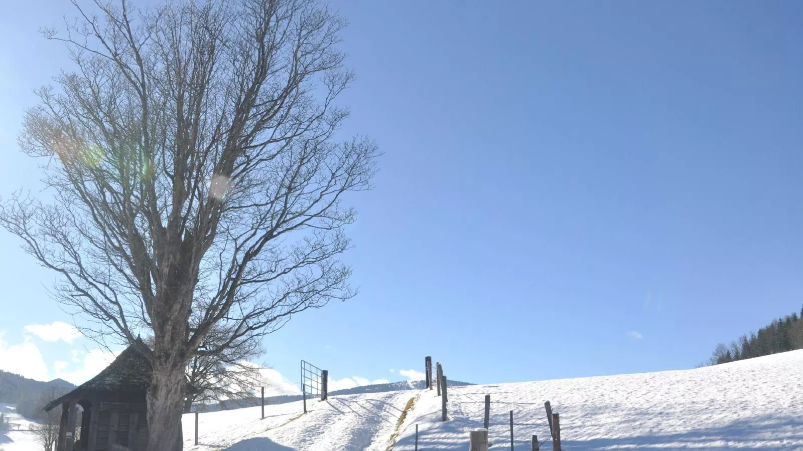 Grebenzen Eiszeit Lodge-Area winter 5km