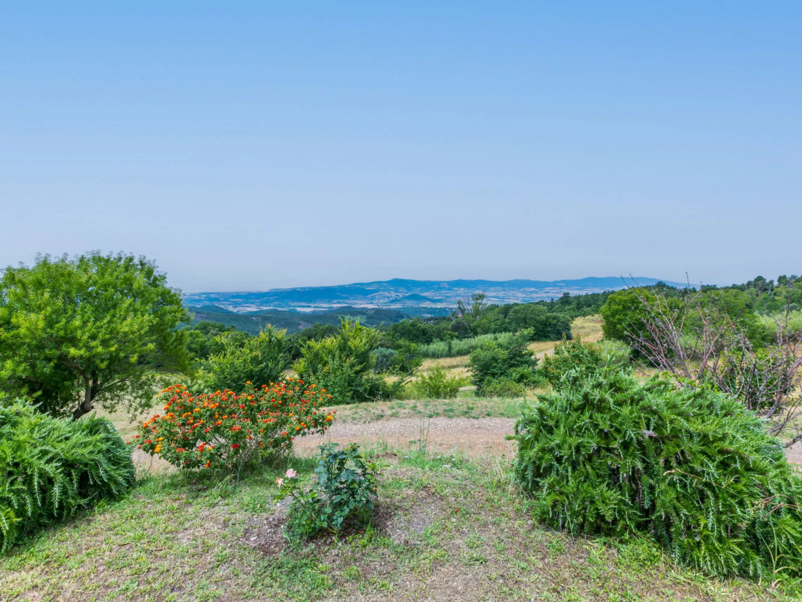 Bellavista-Dehors