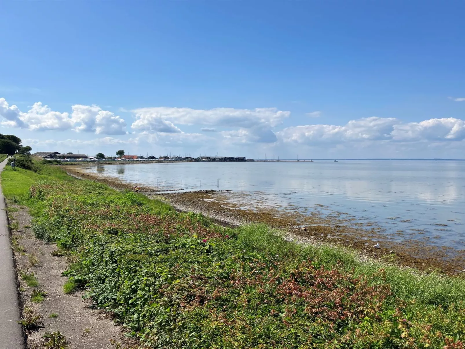"Reinmoth" - 100m from the sea-Draußen