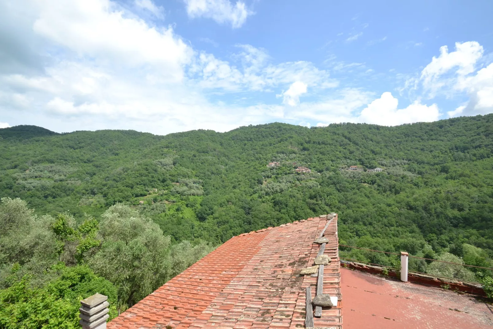 Fiore in testa-View summer