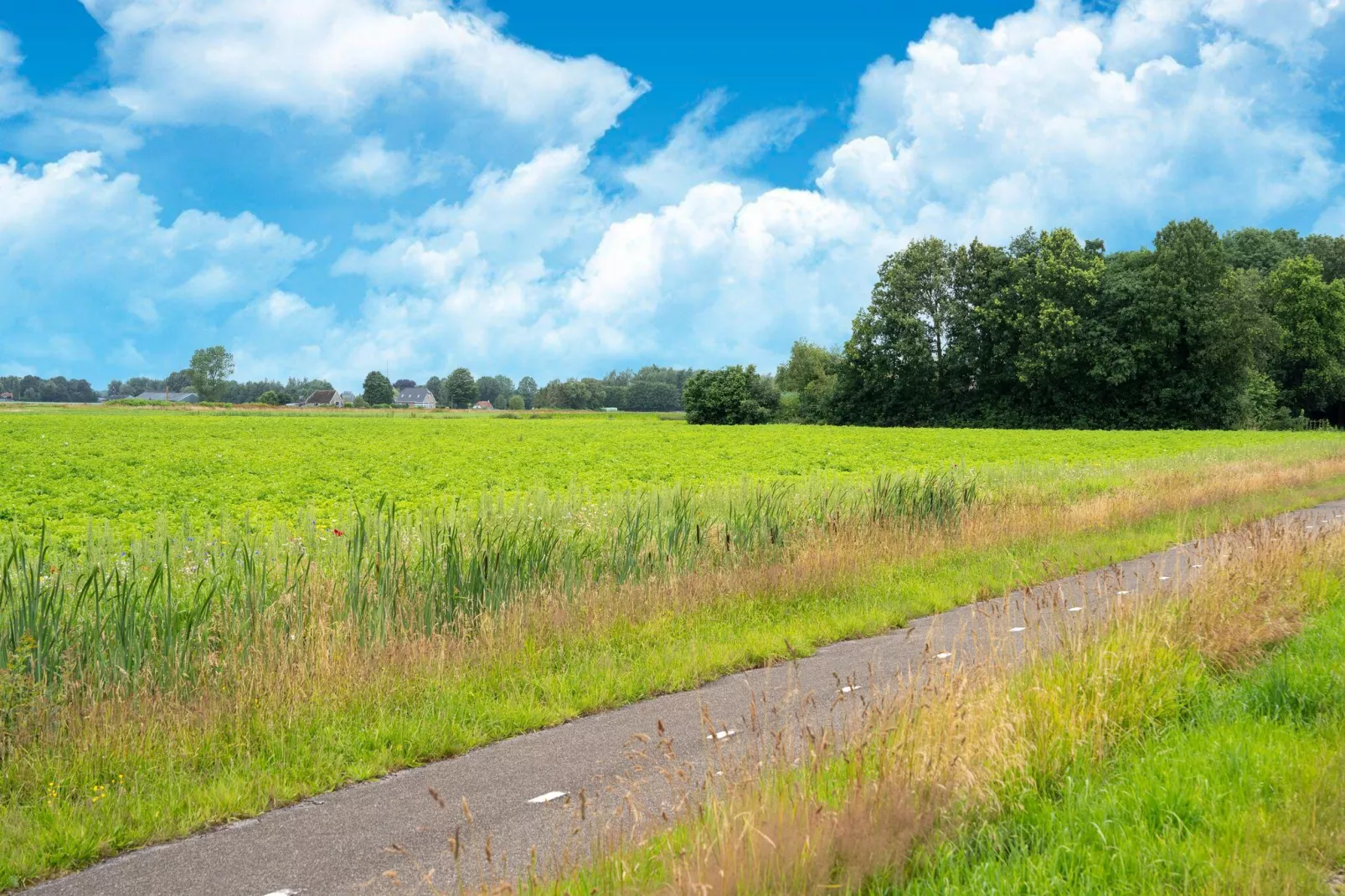 Huisje 59-Areas summer 5km