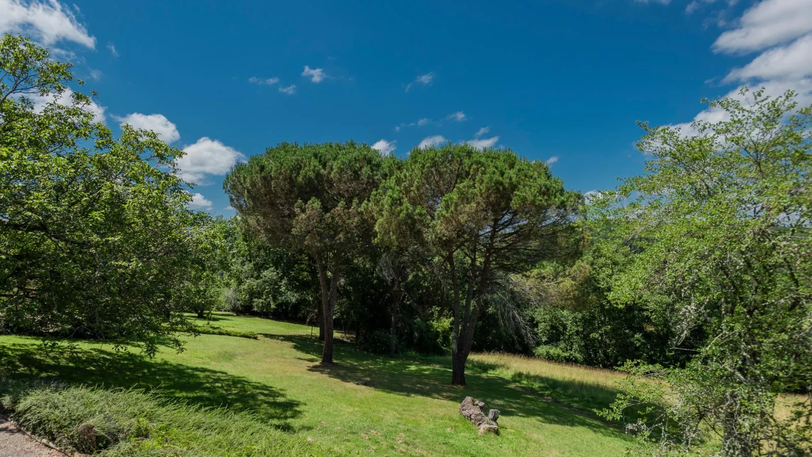 Vigne Grande-View summer