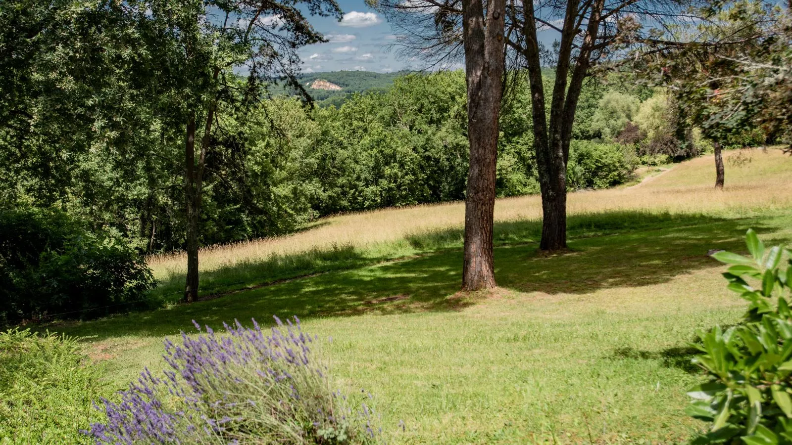 Vigne Grande-Gardens summer
