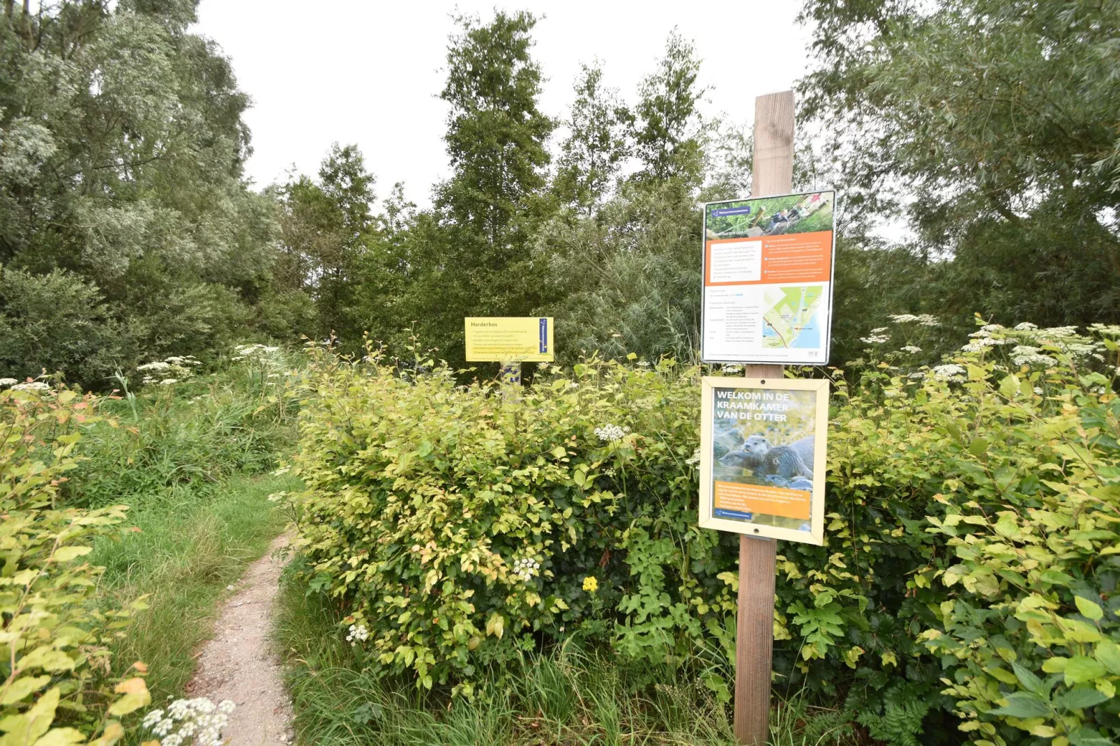 Villa Mamolesco 360-Zones d'été à 5 km