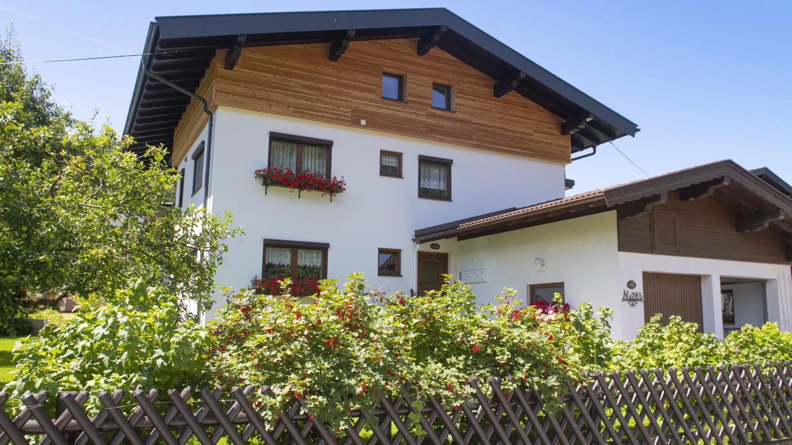 Bei Steiner-Exterior summer