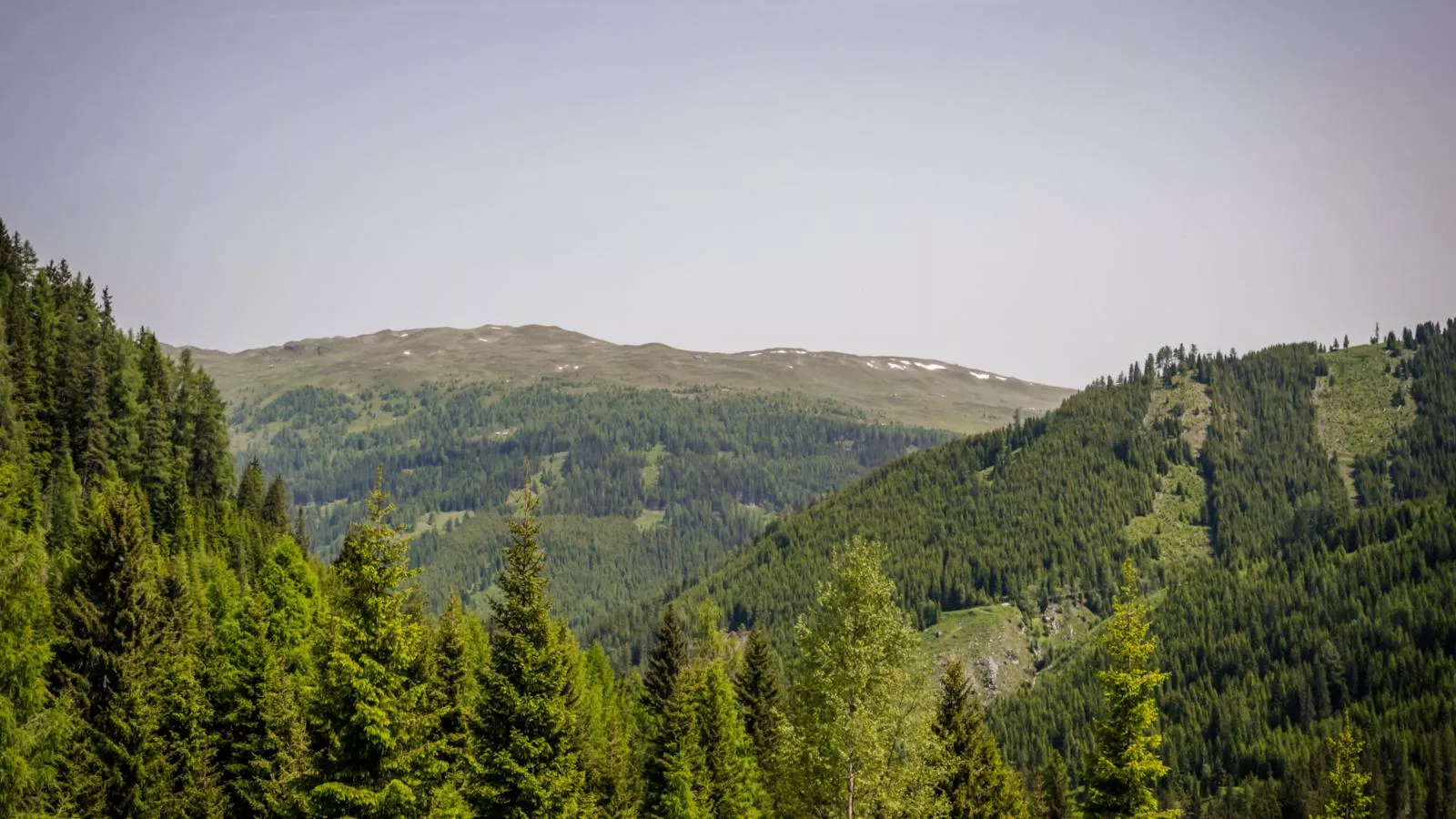 Nockalmhof Top 3-View summer