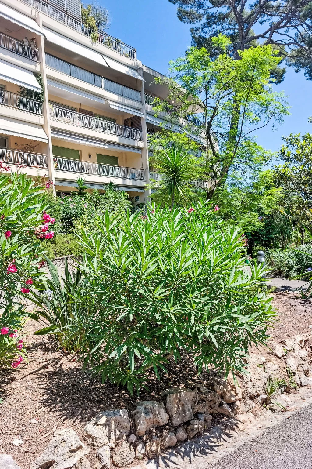 Les Pins D'Alep-Outside