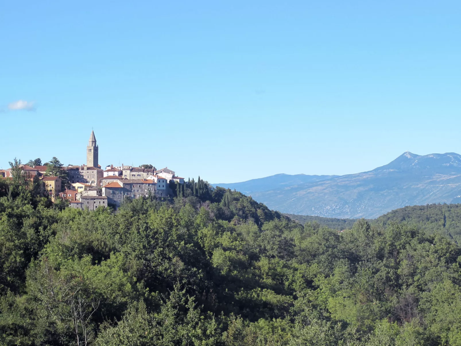 Gianni-Area