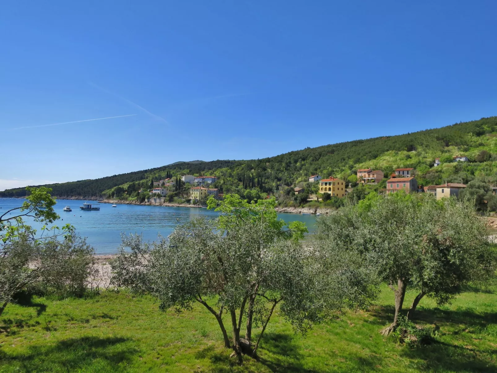 Gianni-Area