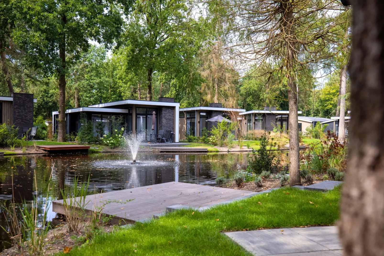 Vakantiepark De Rimboe & De Woeste Hoogte 1-Park facilities