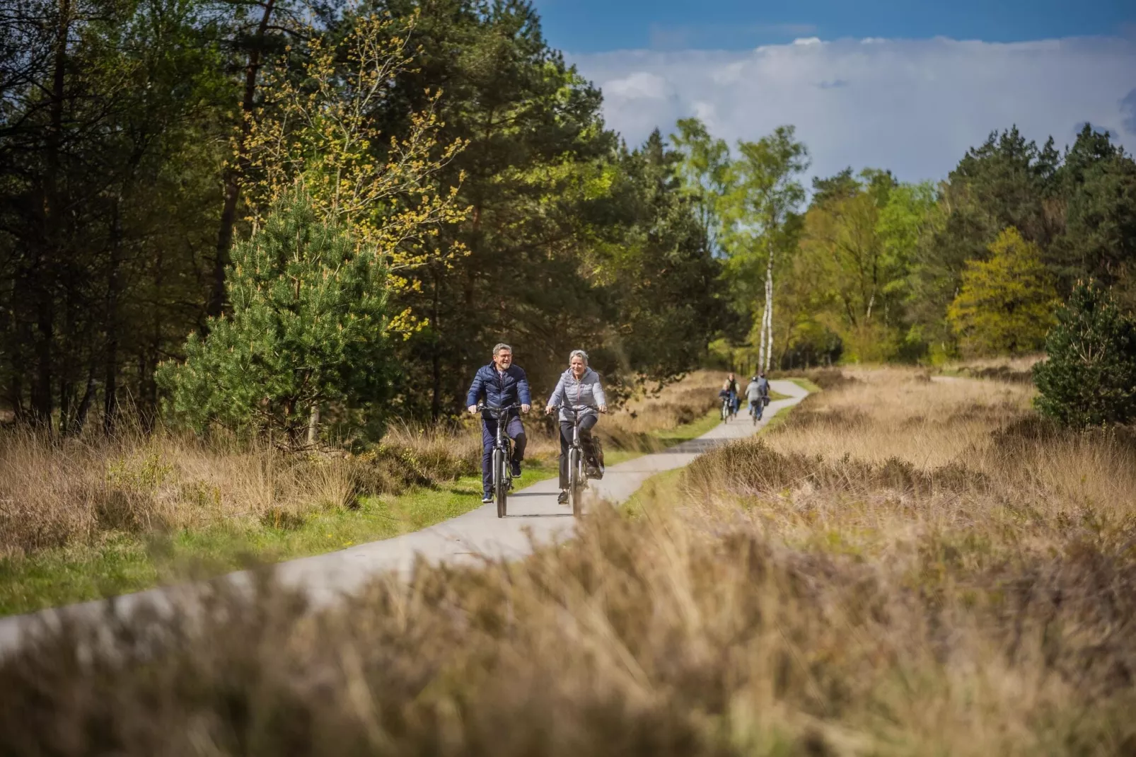 Vakantiepark De Rimboe & De Woeste Hoogte 1-Areas summer 5km