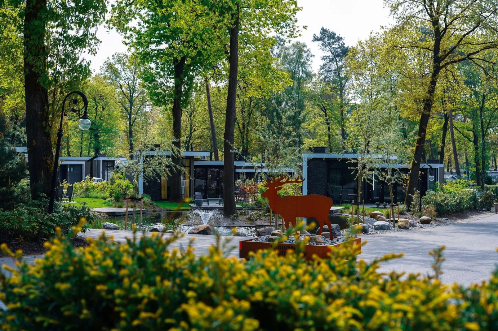 Vakantiepark De Rimboe & De Woeste Hoogte 2-Park facilities
