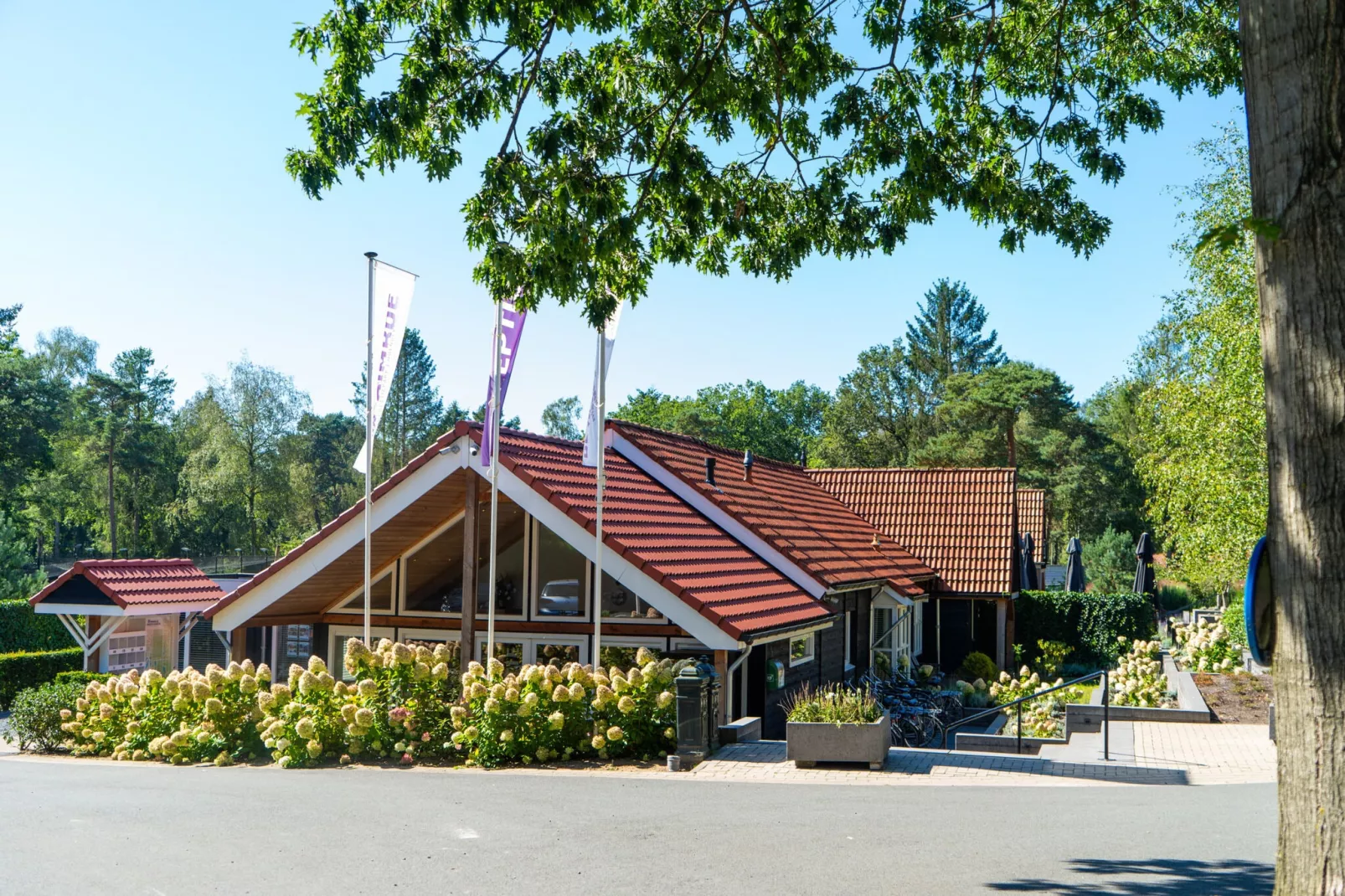 Vakantiepark De Rimboe & De Woeste Hoogte 2-Park facilities