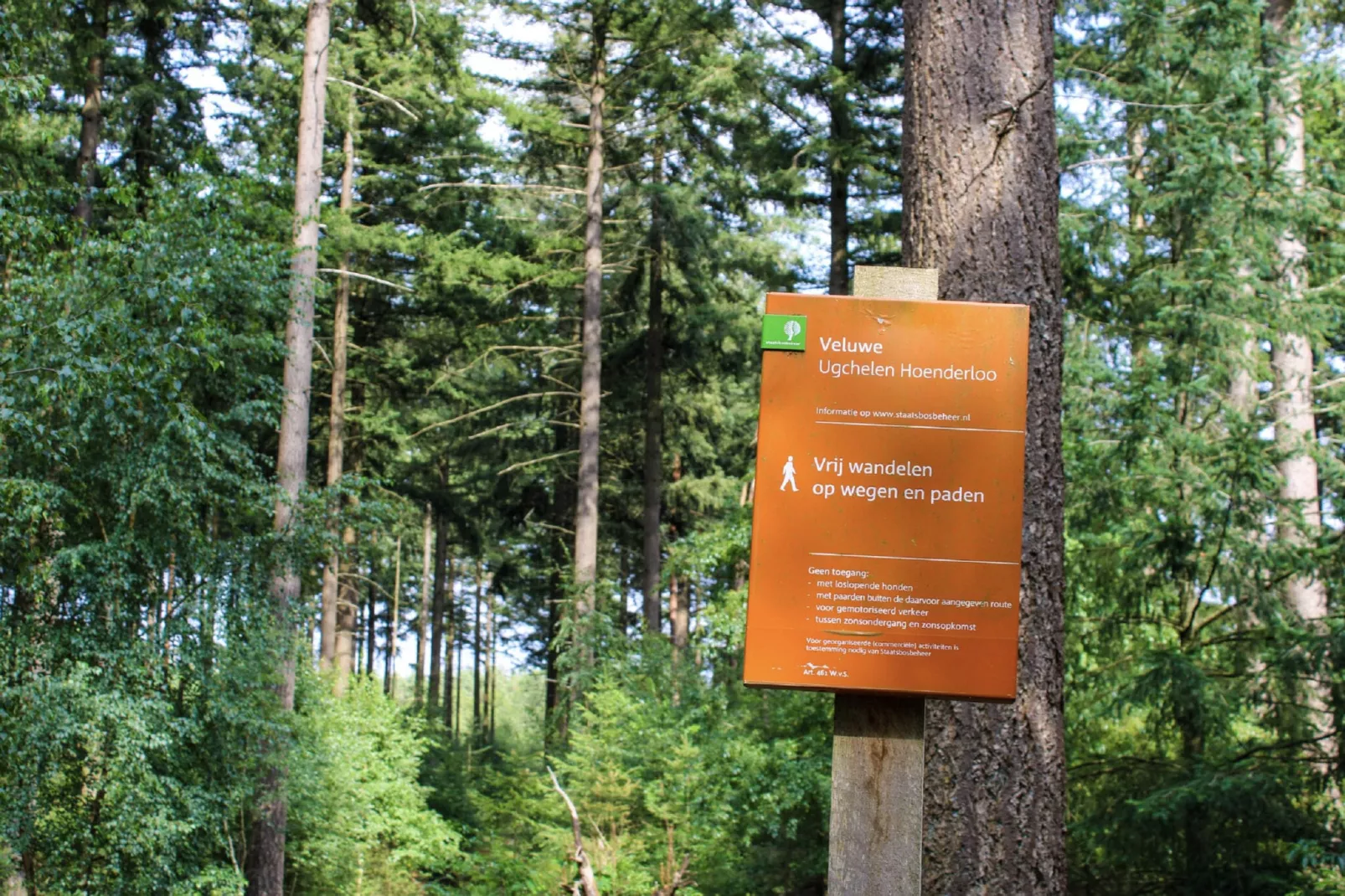 Vakantiepark De Rimboe & De Woeste Hoogte 2-Areas summer 1km