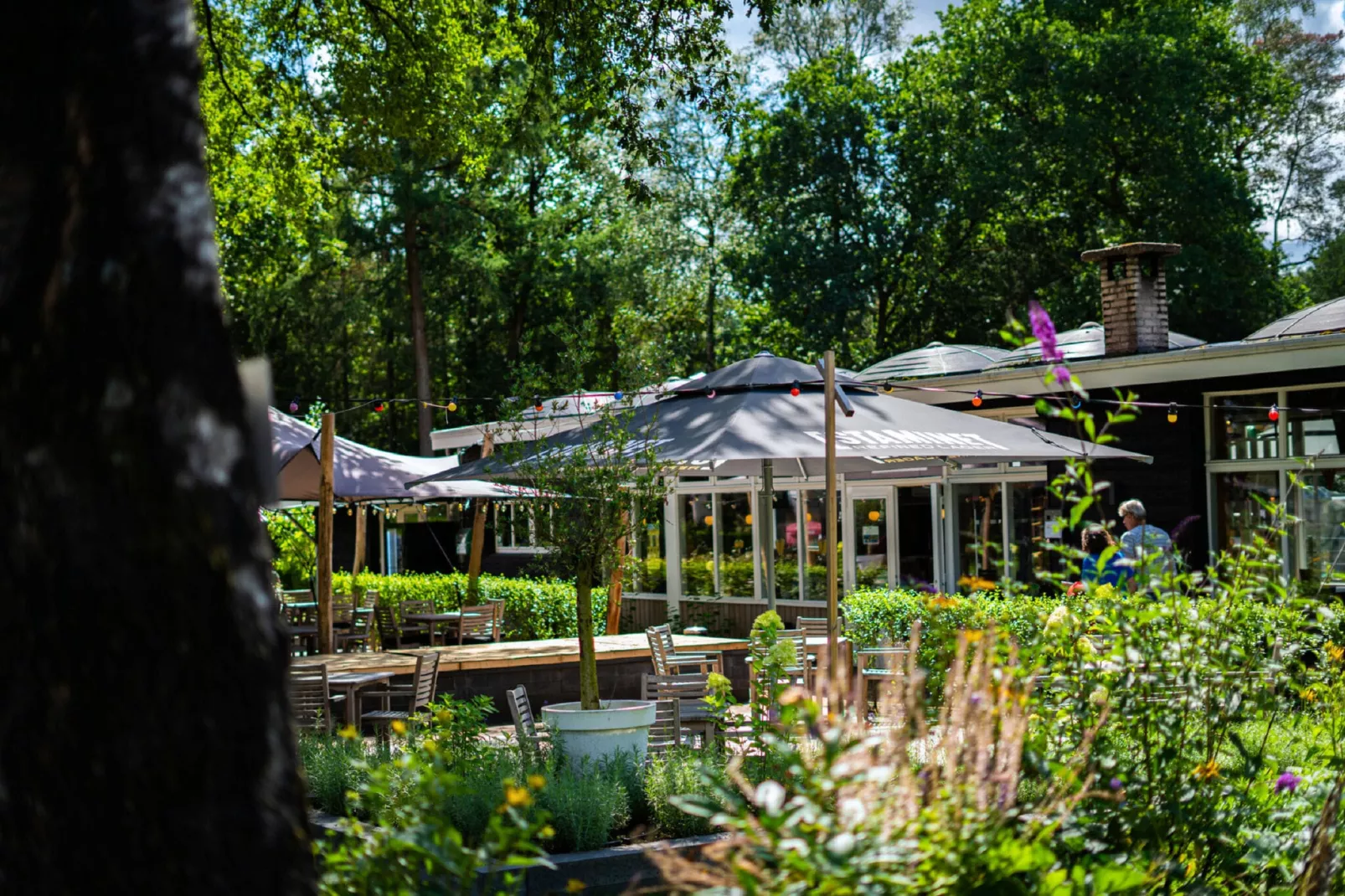Vakantiepark De Rimboe & De Woeste Hoogte 3-Parkeinrichtungen