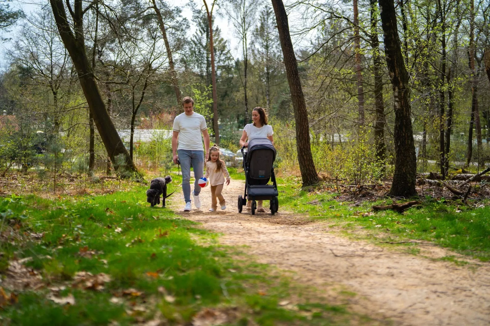 Vakantiepark De Rimboe & De Woeste Hoogte 3-Gebiete Sommer 1 km