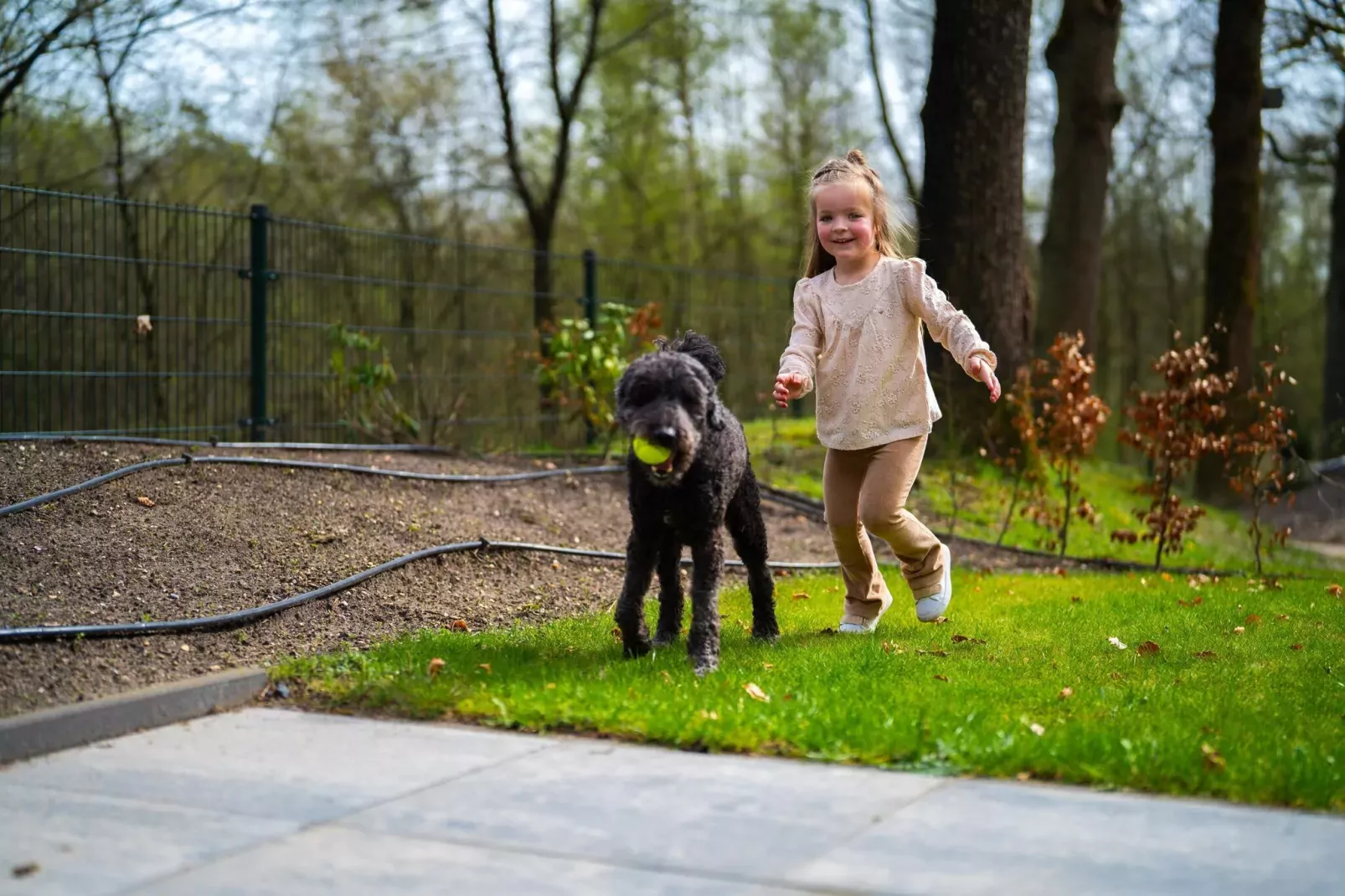 Vakantiepark De Rimboe & De Woeste Hoogte 40-Installations du parc