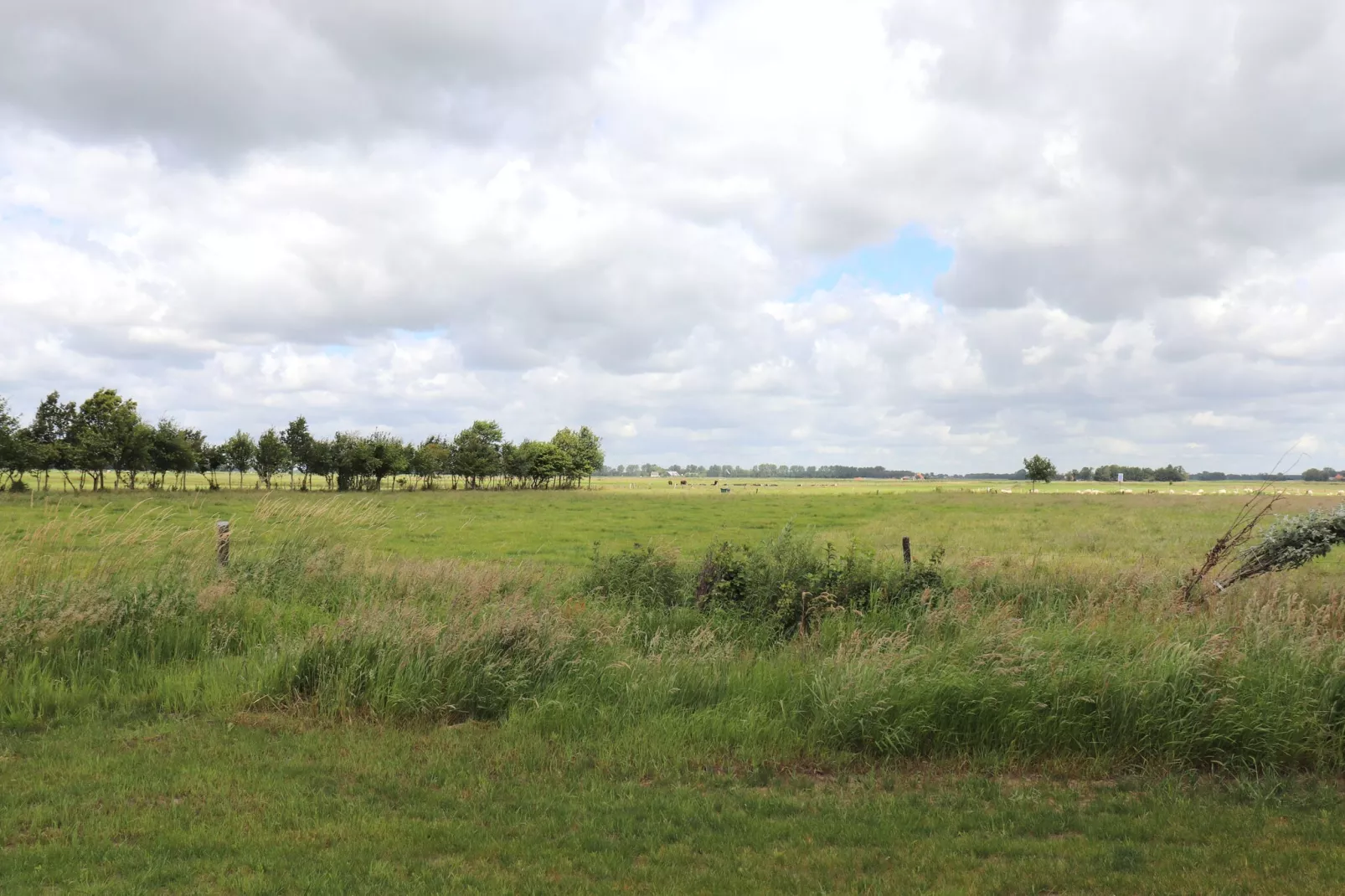 De Markestee chalet 5-View summer