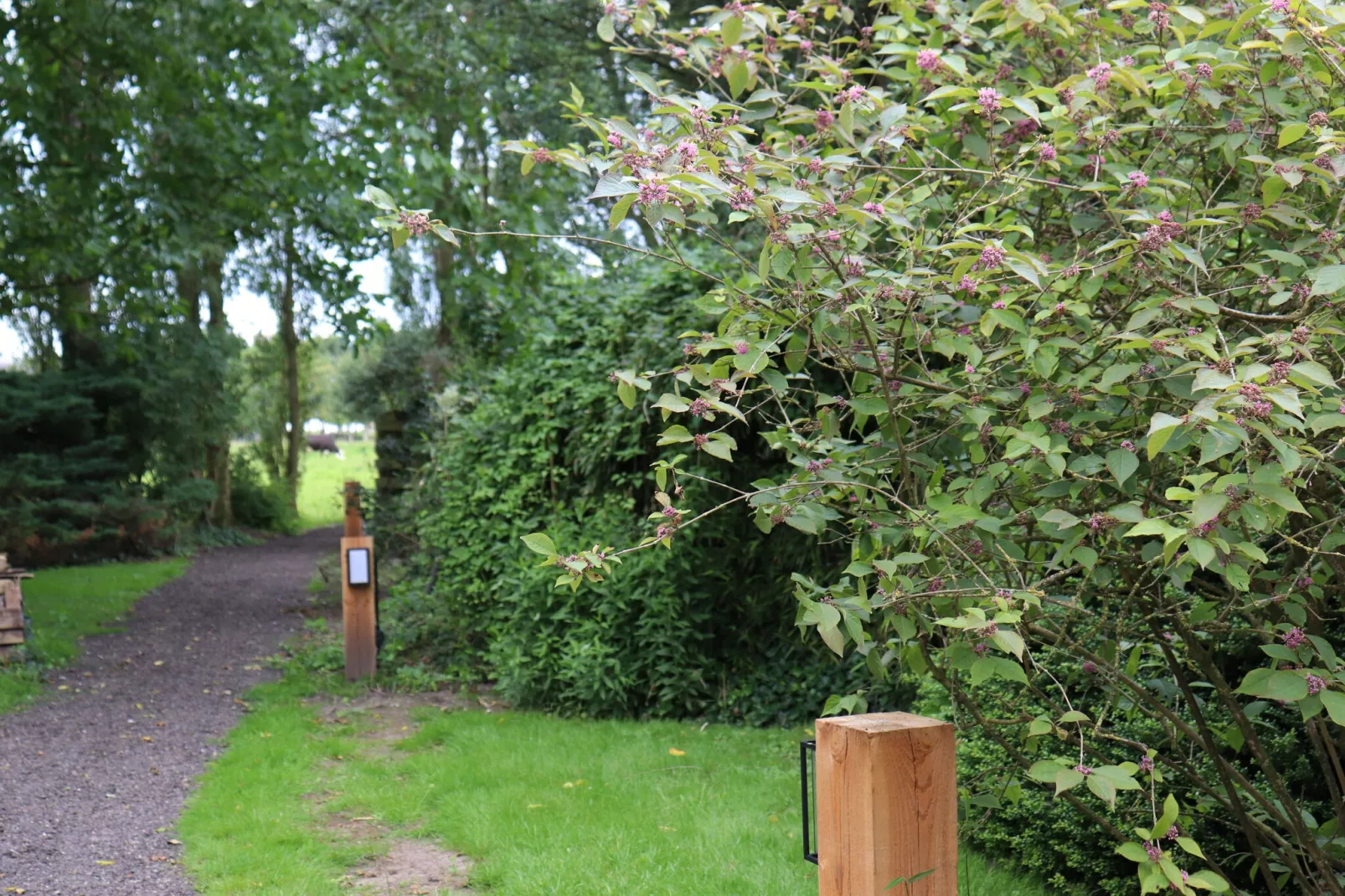 De Markestee chalet 6-Areas summer 1km