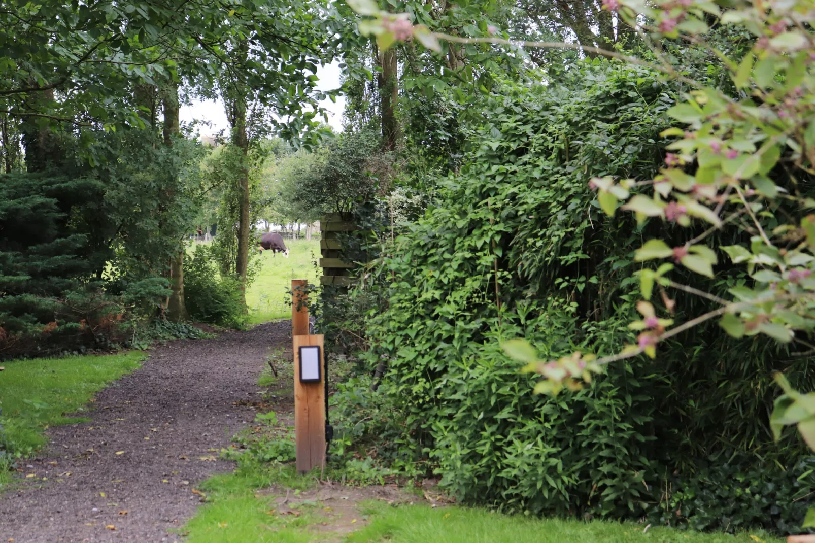 De Markestee chalet 6-Areas summer 1km
