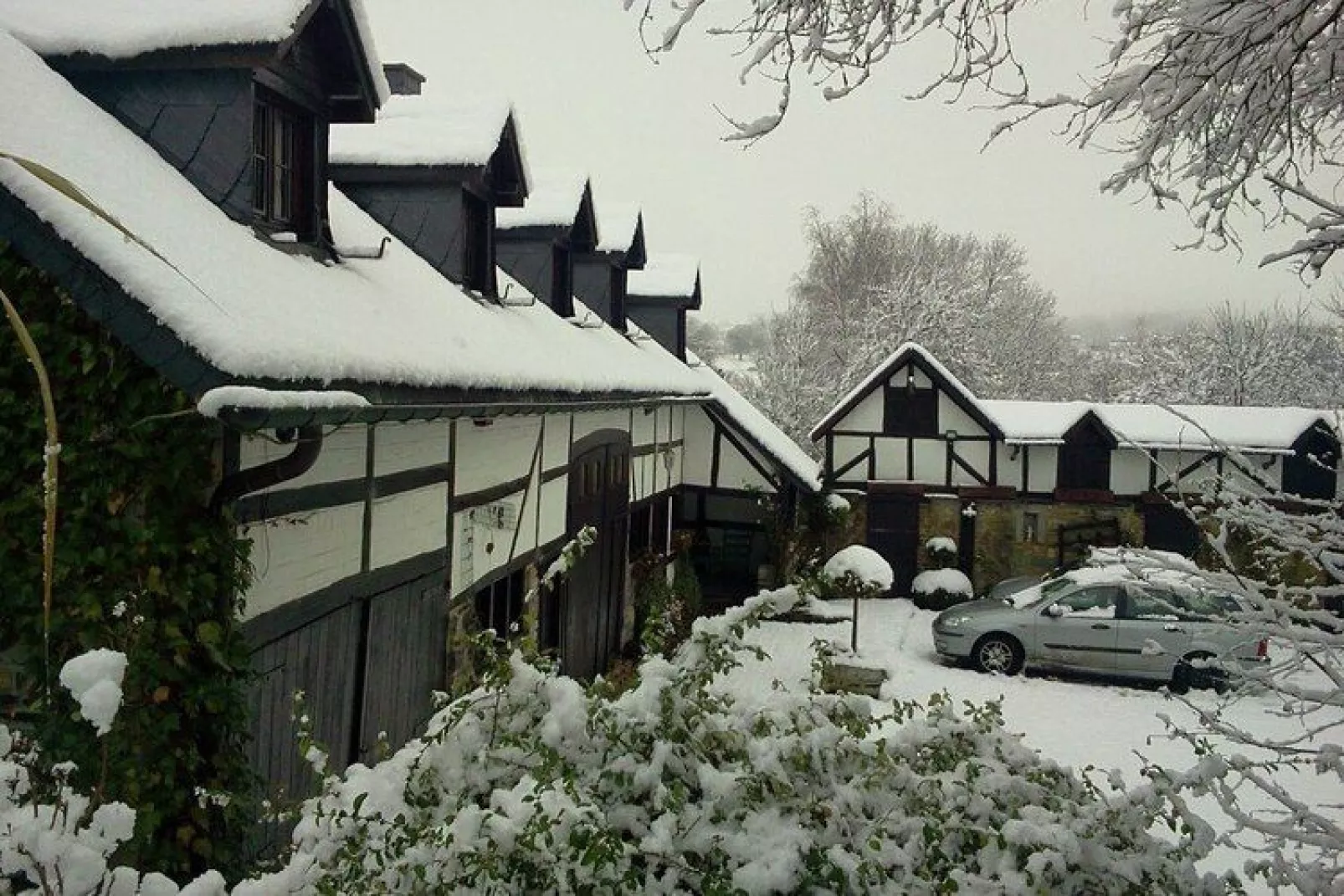 La Fleur des Bois-View winter