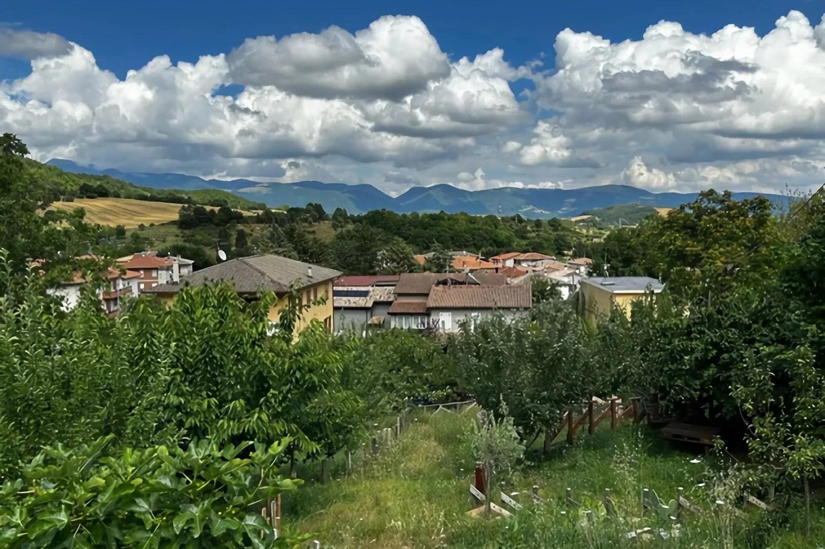 Mamma Oca-View summer