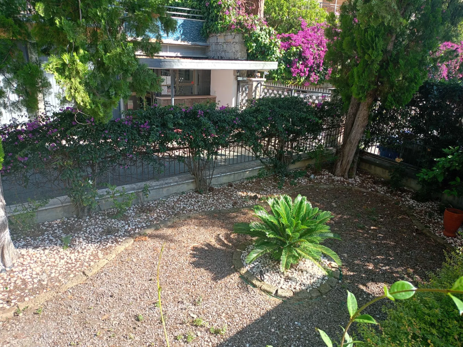 Bouganville-Outside
