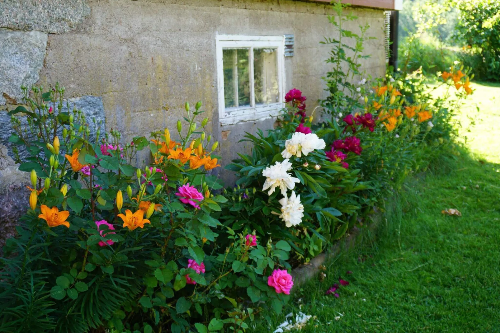 5 person holiday home in Hedekas-Outdoor
