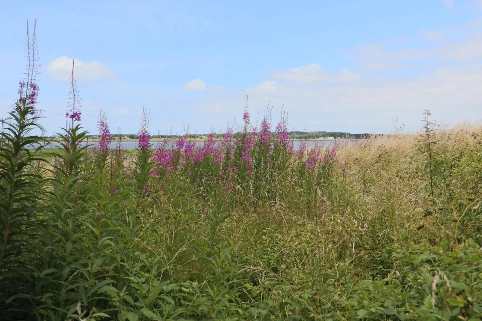 4 star holiday home in VARBERG-Not tagged