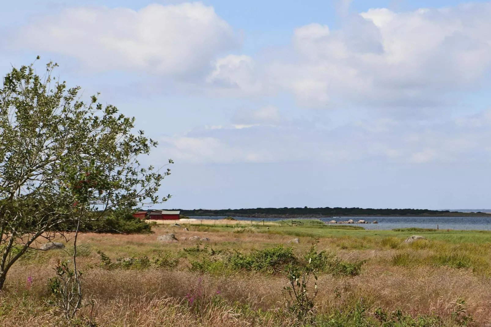 4 star holiday home in VARBERG-Not tagged