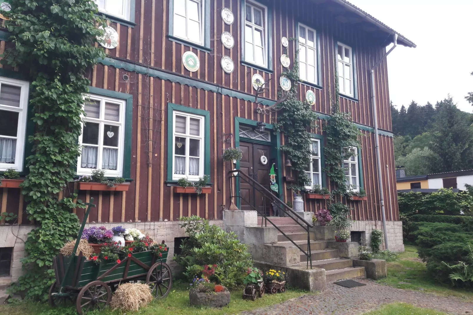 Ferienwohnung Thale-Exterior summer